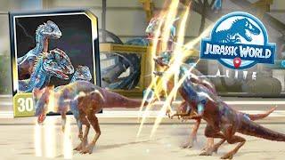 COMPSOVENATOR vs SAH + CONCOTOLOCH (JURASSIC WORLD ALIVE)