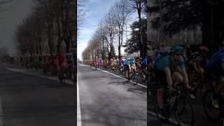 MILANO - SANREMO..2017