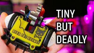 Is this tiny combat robot INDESTRUCTIBLE?