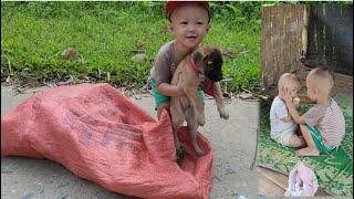 The boy found the dog in the trash pile / ly tam ca