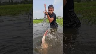 Village fishing video | (part_16) #bigcatfish #fish #fishing #amazingfish #bigfish #shorts #ytshorts