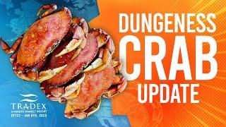 3MMI - Dungeness Crab: Season Openings, 2025 Supply Outlook, Pricing