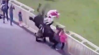 Horse Racing Accident - Horse Collides with Spectators