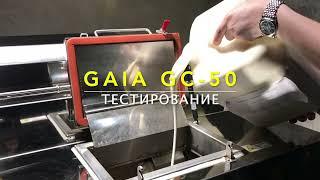 Переработка молочной продукции по технологии GAIA