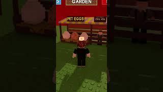 Grow a Garden Stock while Asleep ROBLOX #roblox #growagarden #trending #gaming #shorts #shortsfeed
