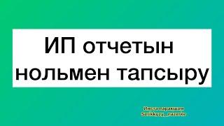 ИП отчет 2023-2024ж. 910.00 форма отчет тапсыру.