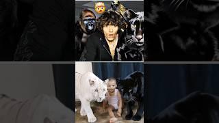 white tiger 