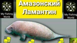 My Fishing World Амазонский Ламантин ловим одного за другим