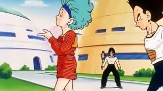 Vegeta  Bulma Moments