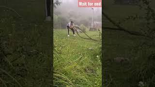 Hard work out #viral #fitness #motivational #sports #natural #army#soldier