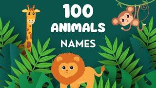 Discover the Animal World: 100 Animal Names in English - Along with Fascinating Clips!