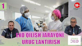 Eko qilish jarayoni, urug'lantirish | Эко килиш жараени, уруглантириш 1-кисм 2024 #eco #eramedeco