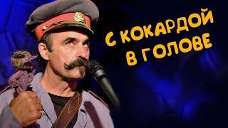 Михаил Новицкий - С кокардой в голове