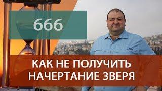 Как не получить начертание зверя?