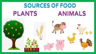 Sources of food, Plants, Animals, Primary Kids Videos