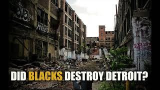 Mayo Nationalist Says Blacks Destroyed Detroit: Is It True?