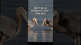 TOO PROUD TO RECEIVE HELP?? #shorts *Music - Fitz Houston *Courtesy mark.smith.photography