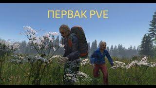 DAYZ | ПЕРВАК PVE | НОВОЕ НАЧАЛО | ЛЕТНИЙ СЕЗОН 8 СЕРИЯ | АТМОСФЕРА ВЫЖИВАНИЯ В СОЛО!