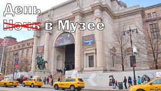 "Ночь в Музее" в жизни | Американский Музей Естественной Истории