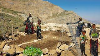 Nomadic Life: Beautiful Mountain Farm of Nomadic Girls | Bread and Yogurt for Nomad Breakfast
