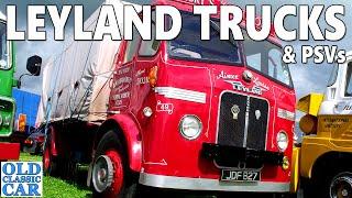 Classic LEYLAND trucks (1930s-1980s)