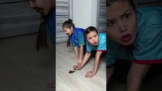 Chocolate or Dog Poop? Mom’s Epic Prank!  #shorts