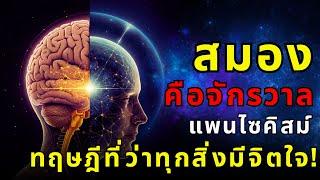 จักรวาลคือสมองขนาดยักษ์? | แพนไซคิสม์: ทฤษฎีที่ว่าทุกสิ่งมีจิตใจ! | ThaiWikiHow