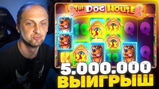 Dog House, Richy Hog - Топ заносы Зубарева! Заносы Недели