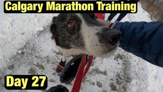 Calgary Marathon Training Vlog || Day 27 For the pups!