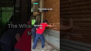 Whale vs. Me