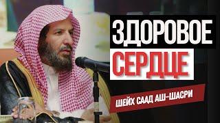 Здоровое, НЕПОРОЧНОЕ сердце || Шейх Саад аш-Шасри