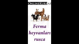 Ferma heyvanları rusca