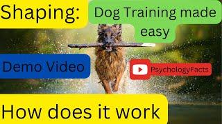 dog training made easy with shaping technique/ shaping