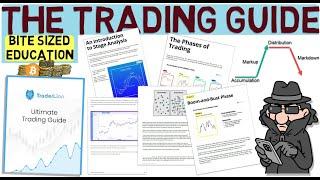 Trader Lion: The Ultimate Trading Guide for Success