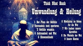 Umwandlung und Heilung - Über Angst, Wut und Achtsamkeit - Thich Nhat Hanh