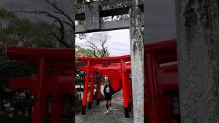 I keep coming back for you, Japan | Where Ava Travels