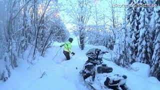 Breaking more Trails with Ski Doo Tundra