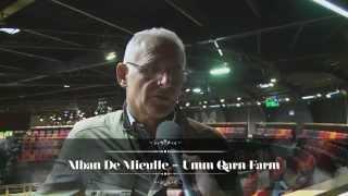 ARQANA 2014 October Yearling Sale - day 1 review