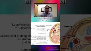 Anterior Approach for Cervical Spine - Dr Amrithlal Macarenhas