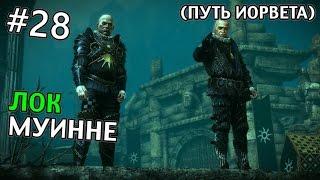 The Witcher 2: Assassins of Kings Прохождение (Путь Йорвета) | ЛОК МУИННЕ | #28