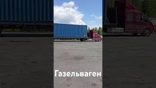 Вот такую газелечку повстречал