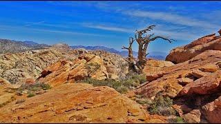 Windy Peak | Rainbow Mountain Wilderness, Nevada