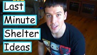 Last- Minute DIY Outdoor Feral Cat Shelter Ideas