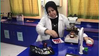World Science Day