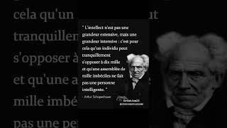 Citation de Schopenhauer #trending #youtube #motivation #citation #youtubeshorts #shorts #short #fyp