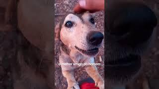 Grande amigo