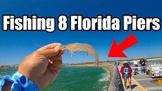 1 Hour Catching Fish on 8 Different Fl. Piers (Saltwater Fishing Florida)