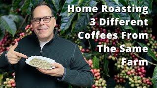 Home Roasting Coffee - 3 Different Coffee Varieties From The Same Farm in Nicaragua