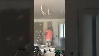 A skilled painter is applying and spraying wall board sealer.#nature #ofwlife #construction #graco