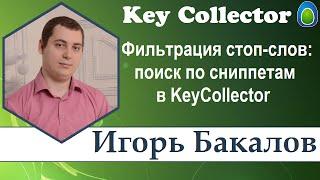 Фильтрация стоп-слов: поиск по сниппетам в KeyCollector